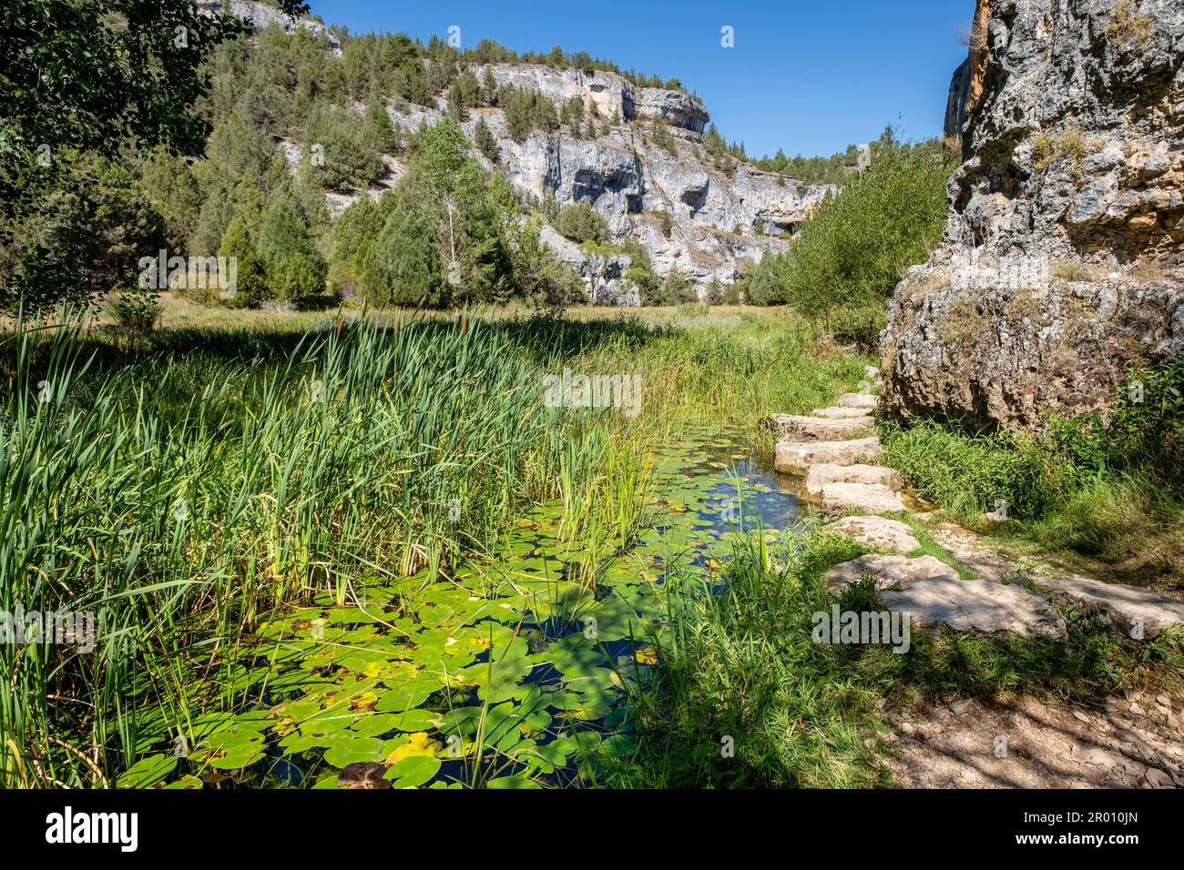 zona de reserva Castillo Billido, Parque Natural del Cañón del Río Lobos, Soria, Comunidad Autónoma de Castilla, Spain, Europe Stock Photo