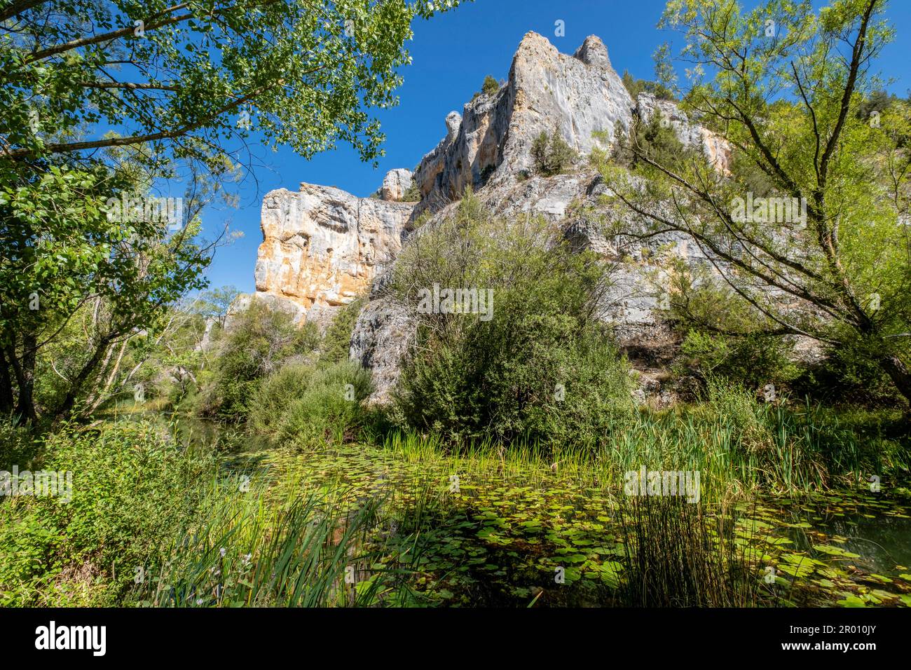 Parque Natural del Cañón del Río Lobos, Soria, Comunidad Autónoma de Castilla, Spain, Europe Stock Photo
