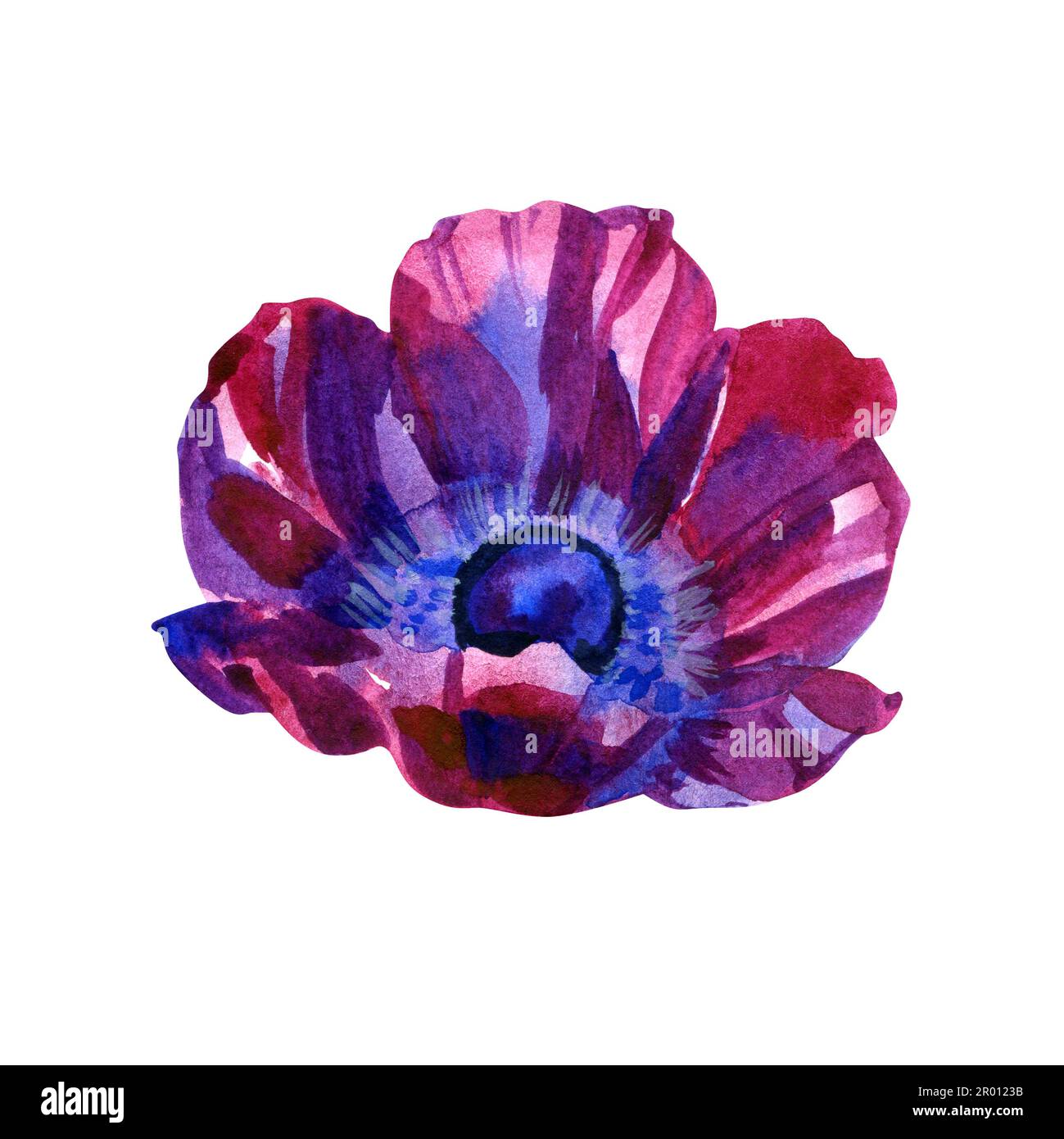 Hand painted floral elements set. Watercolor botanical illustration of