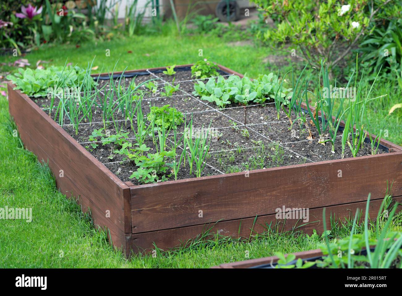 Raised beds growing vegetables hi-res stock photography and images - Alamy