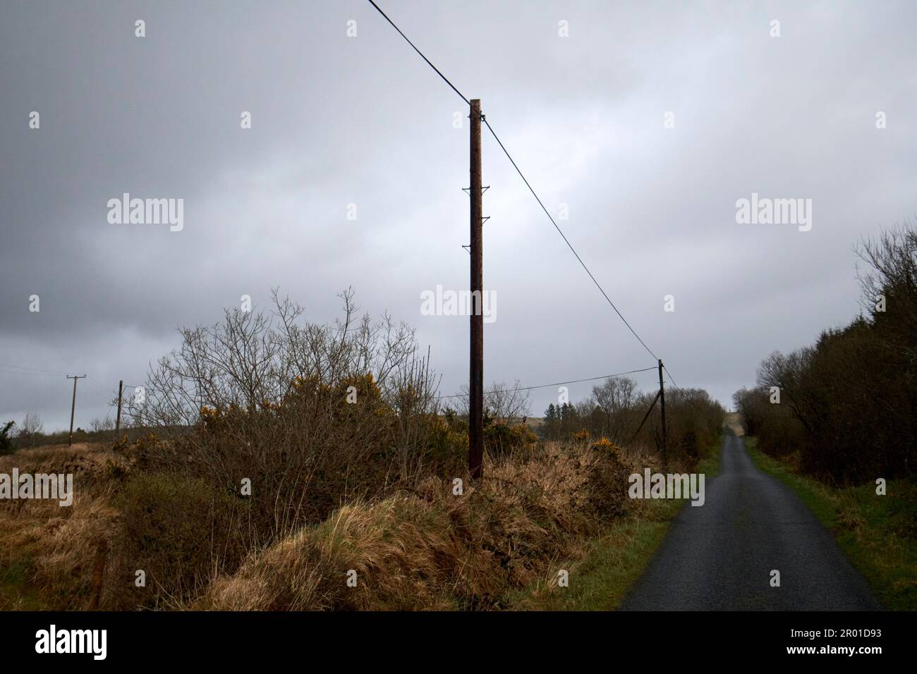 telegraph pole carrying telephone cable along poles beside road in rural remote part of county donegal republic of ireland Stock Photo
