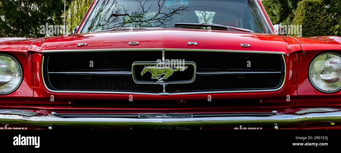 Earsham, Norfolk, UK – April 30 2023. The grille and horse badge of a classic Ford Mustang muscle car on display at a small and local outdoor car show Stock Photo
