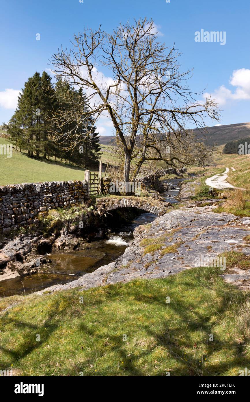 Old packhorse bridge above the hamlet of Foxup, Littondale, Yorkshire Dales National Park, UK Stock Photo