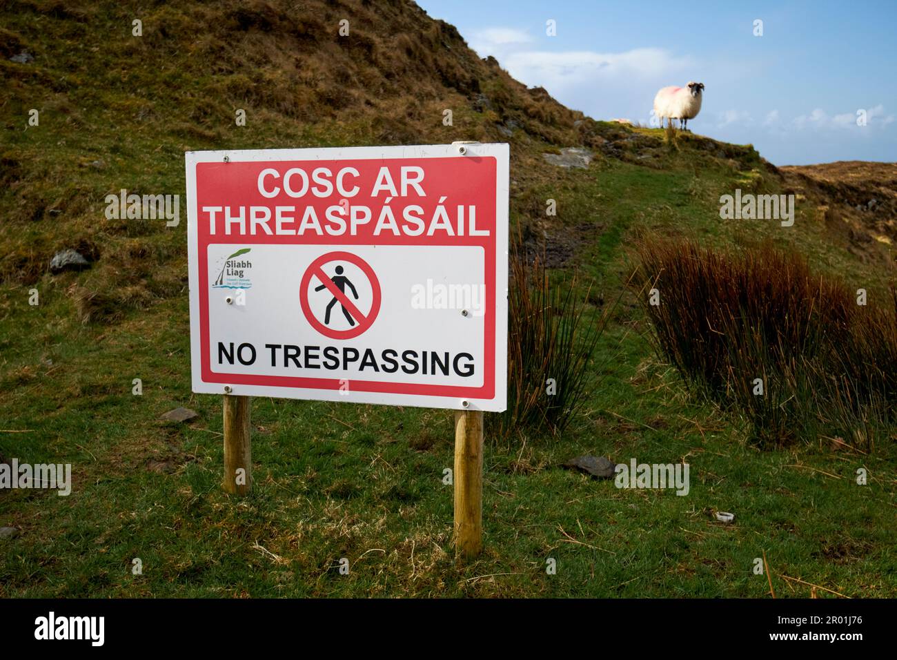 no trespassing sign with sheep in the background in english and irish near slieve league county donegal republic of ireland Stock Photo