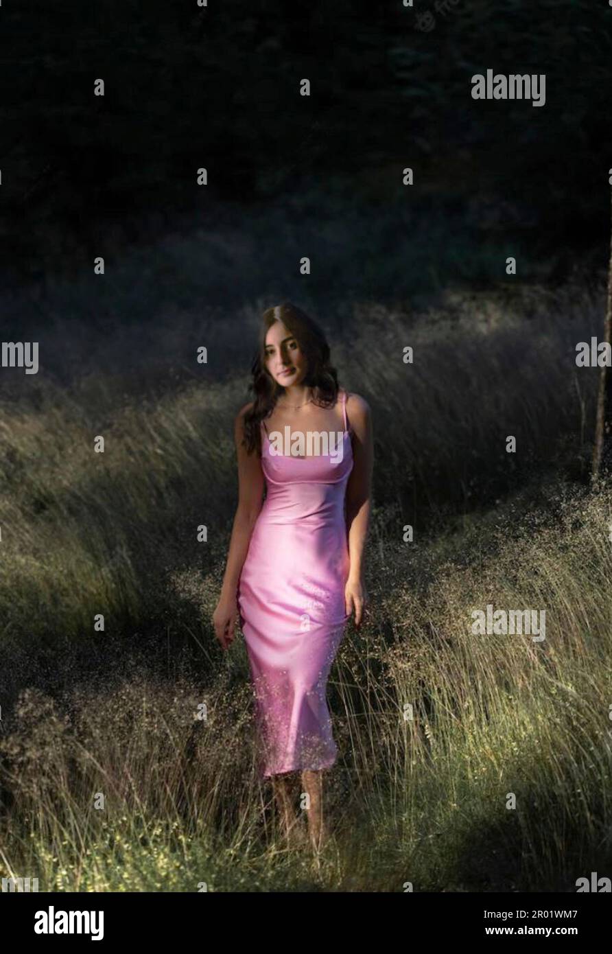 Sexy brunette young woman wearing a long pink satin dress stands in a patch of sunlight in a rural location.  MODEL RELEASED Stock Photo