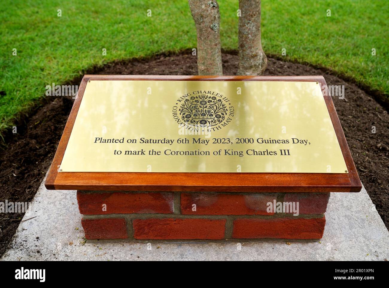 A general view of a plaque during a tree planting ceremony to commemorate the coronation ceremony of King Charles III ahead of day two of The QIPCO Guineas Festival at Newmarket Racecourse. Picture date: Saturday May 6, 2023. Stock Photo