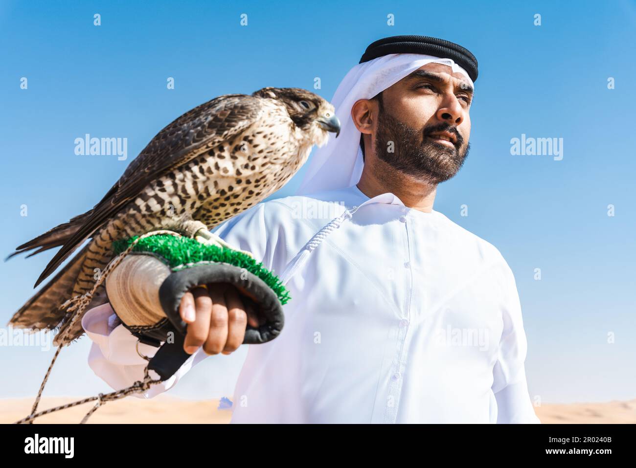 Middle-eastern man wearing traditional emirati arab kandura in the desert and holding a falcon bird - Arabian muslim adult person at the sand dunes in Stock Photo