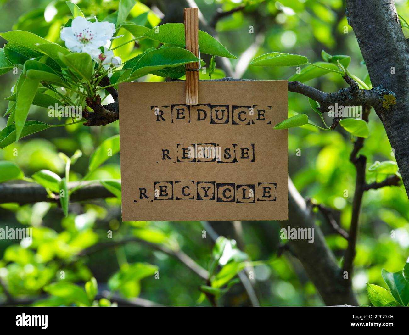 A piece of cardboard with the words Reduce Reuse Recycle on it hanging ...