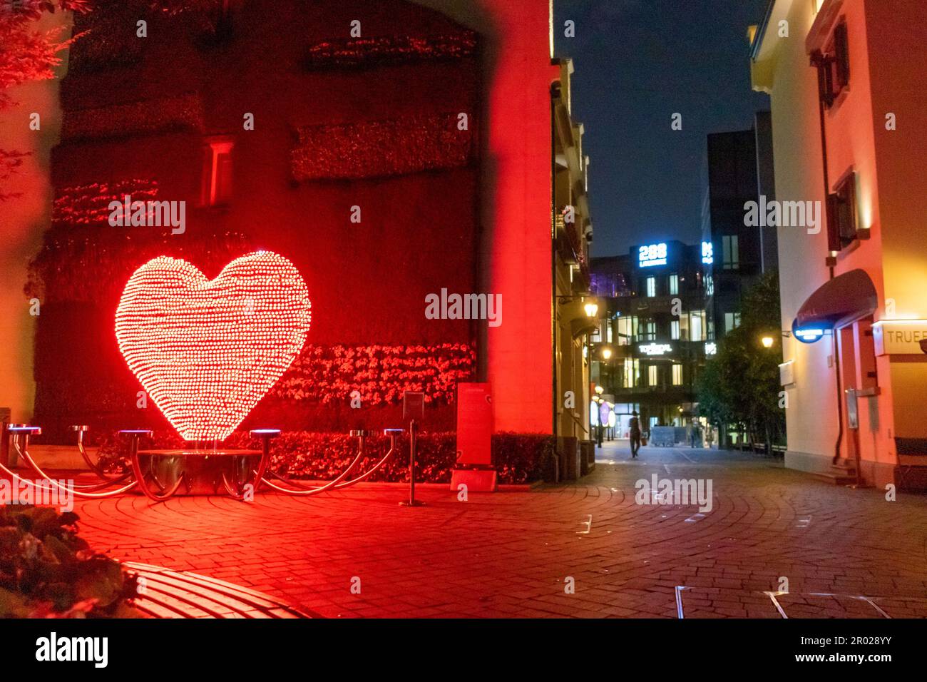 Shanghai, China, Crowded Metro Subway Train, Inside,  Chinese Tourists, in CIty Center Stock Photo