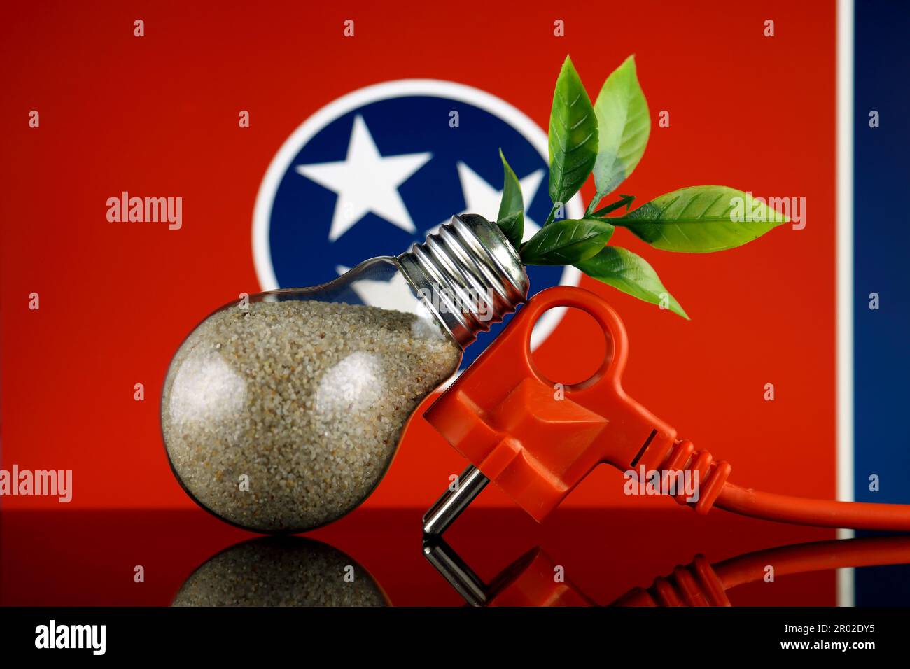 Plug, plant growing inside the light bulb and Tennessee State Flag
