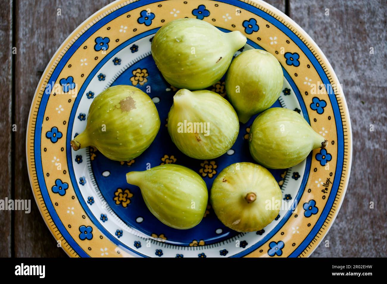 Fresh ripe figs collected from the fig tree in summer on an Italian farm Stock Photo