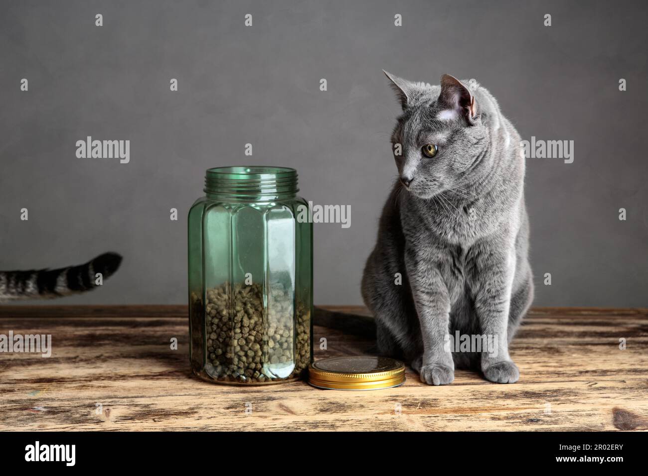Two cats curious about cat food in jar Stock Photo