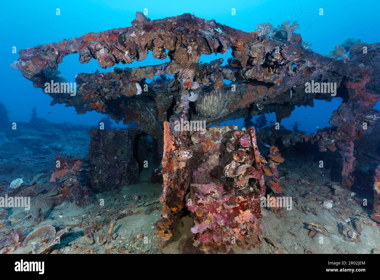 Superstructure, Kyokuzan Maru, underwater, wreck, thick vegetation, invertebrate (Evertebrata) animals, invertebrate, Japanese supply ship Stock Photo