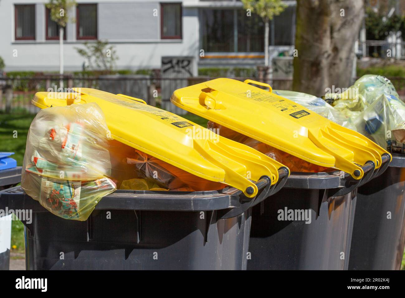 Yellow bins filled with yellow bags for plastic waste with lid, waste
