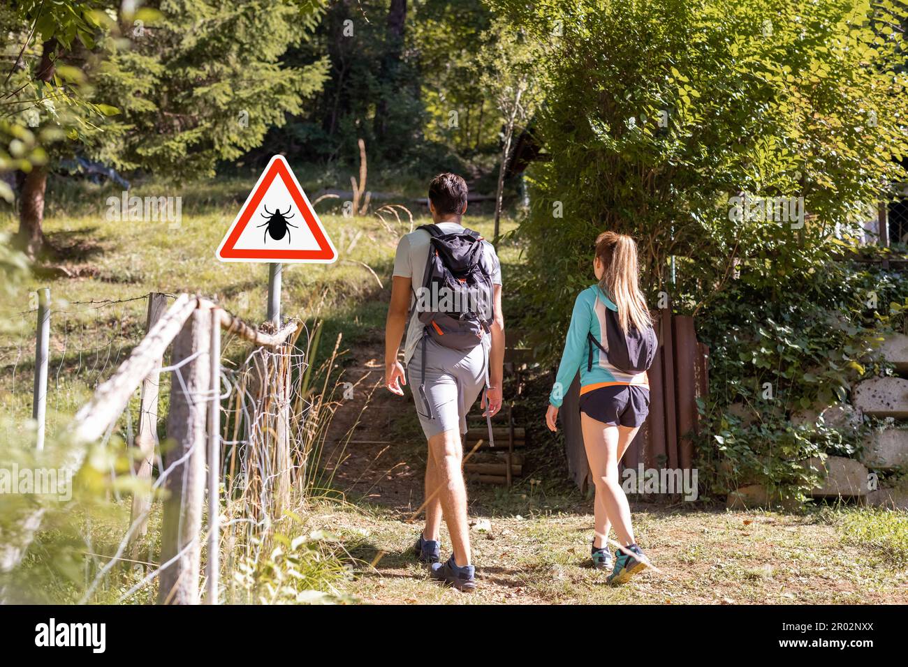 Ticks Forrest Man and woman hiking in Infected ticks forest with warning sign. Risk ...