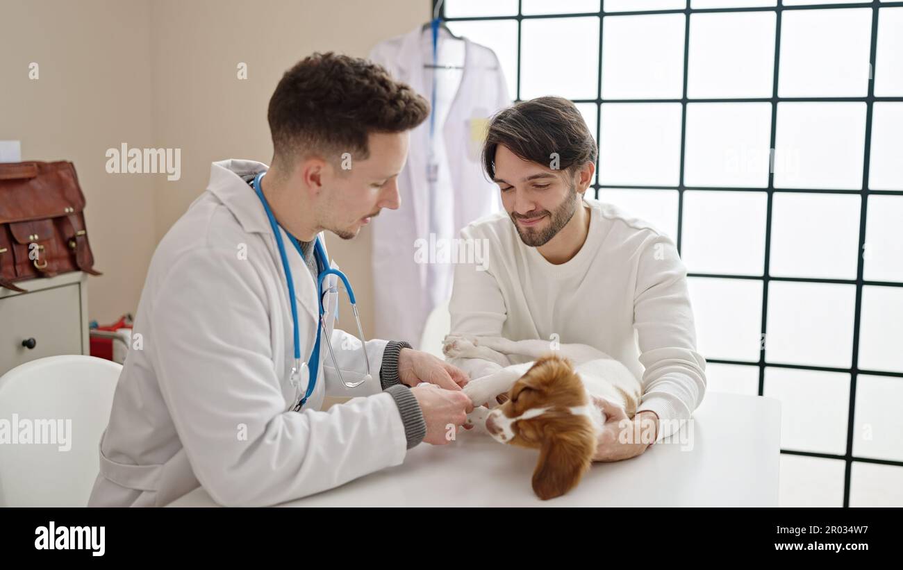Two men bandaging leg of dog at veterinary clinic Stock Photo Alamy