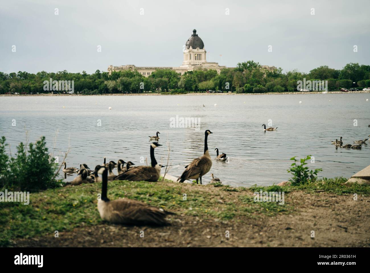 Regina, Saskatchewan Canada - June 2022 Saskatchewan Legislative Building in front of the Wascana lake. High quality photo Stock Photo