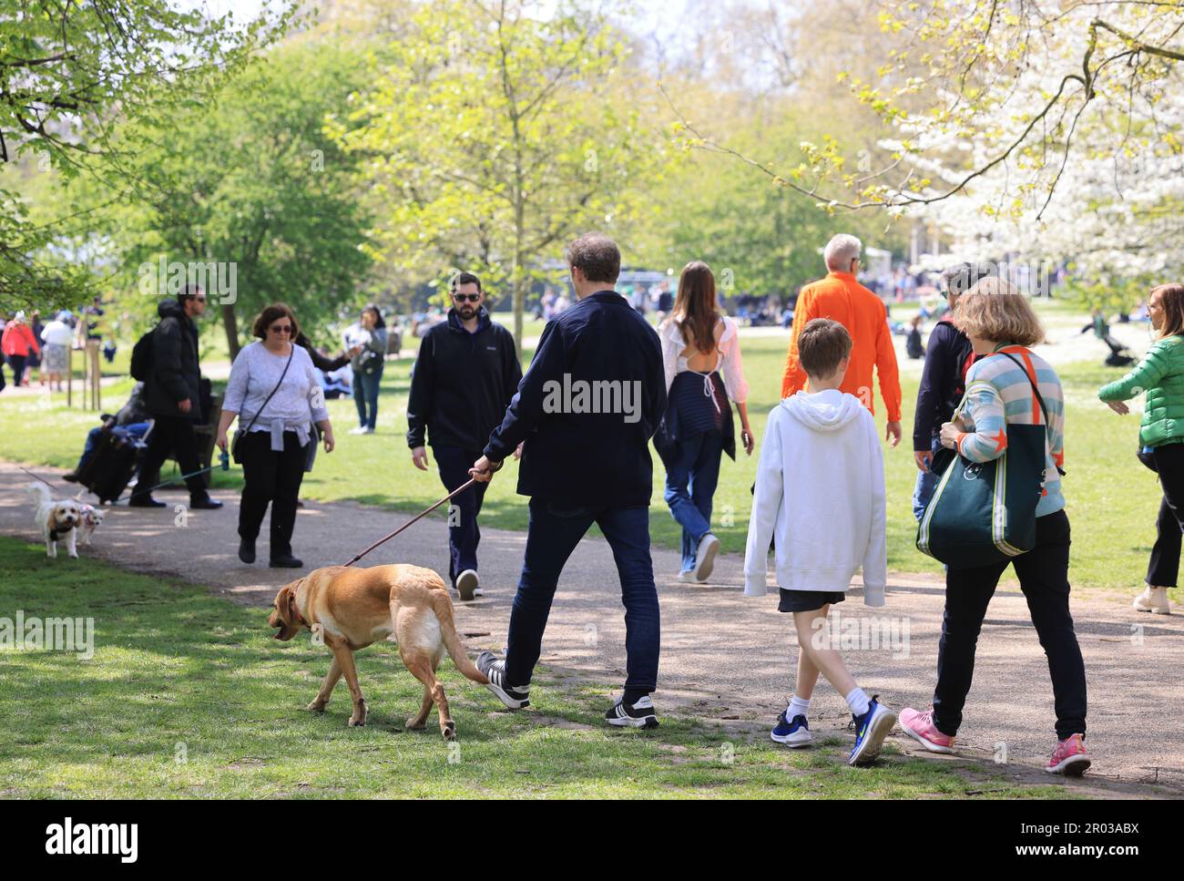 Spring sunshine for the early May Bank Holiday weekend, in St James's Park, central London, UK Stock Photo