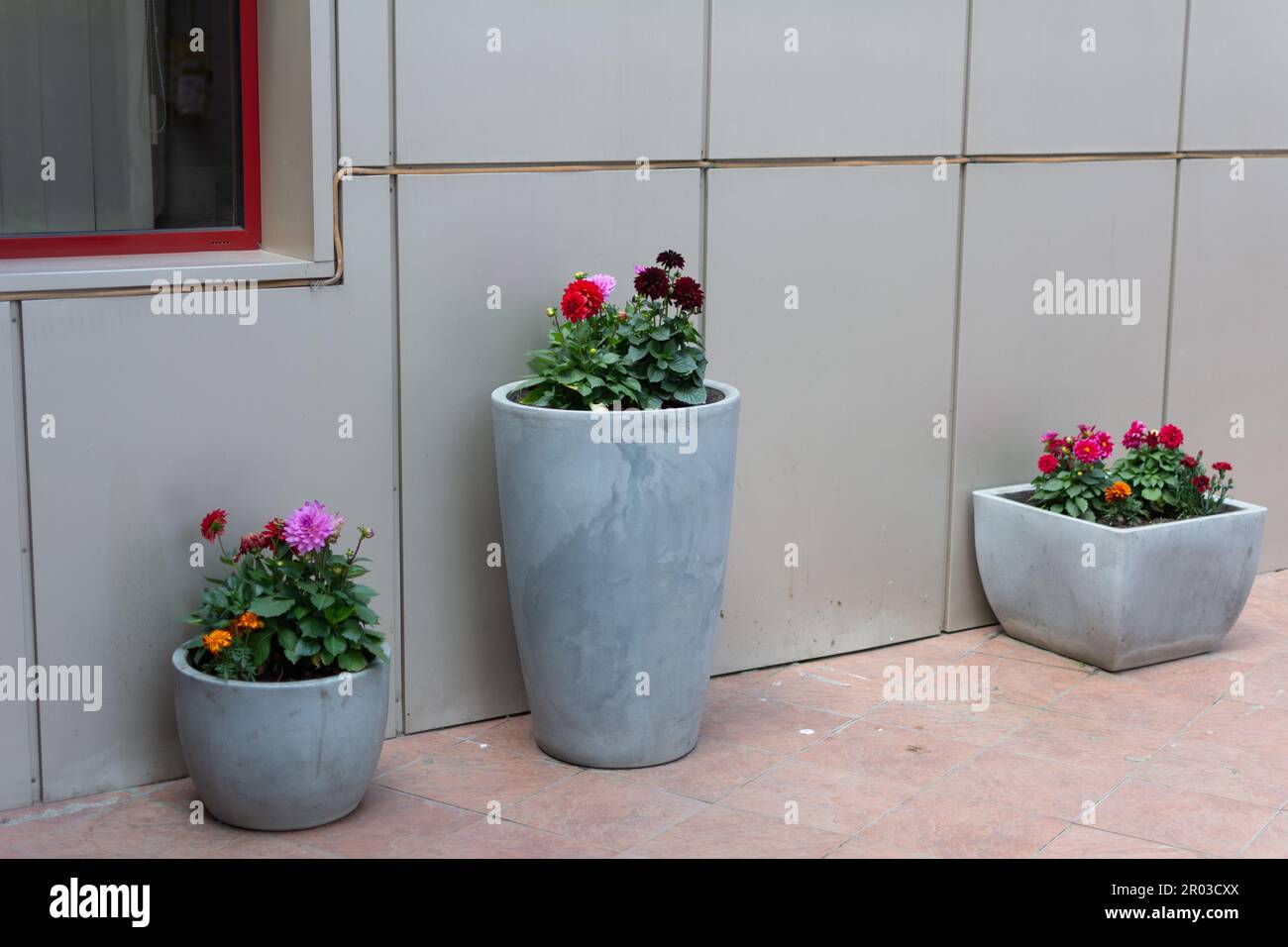 Cement flower pots outside a hotel building in Romania. Decorative