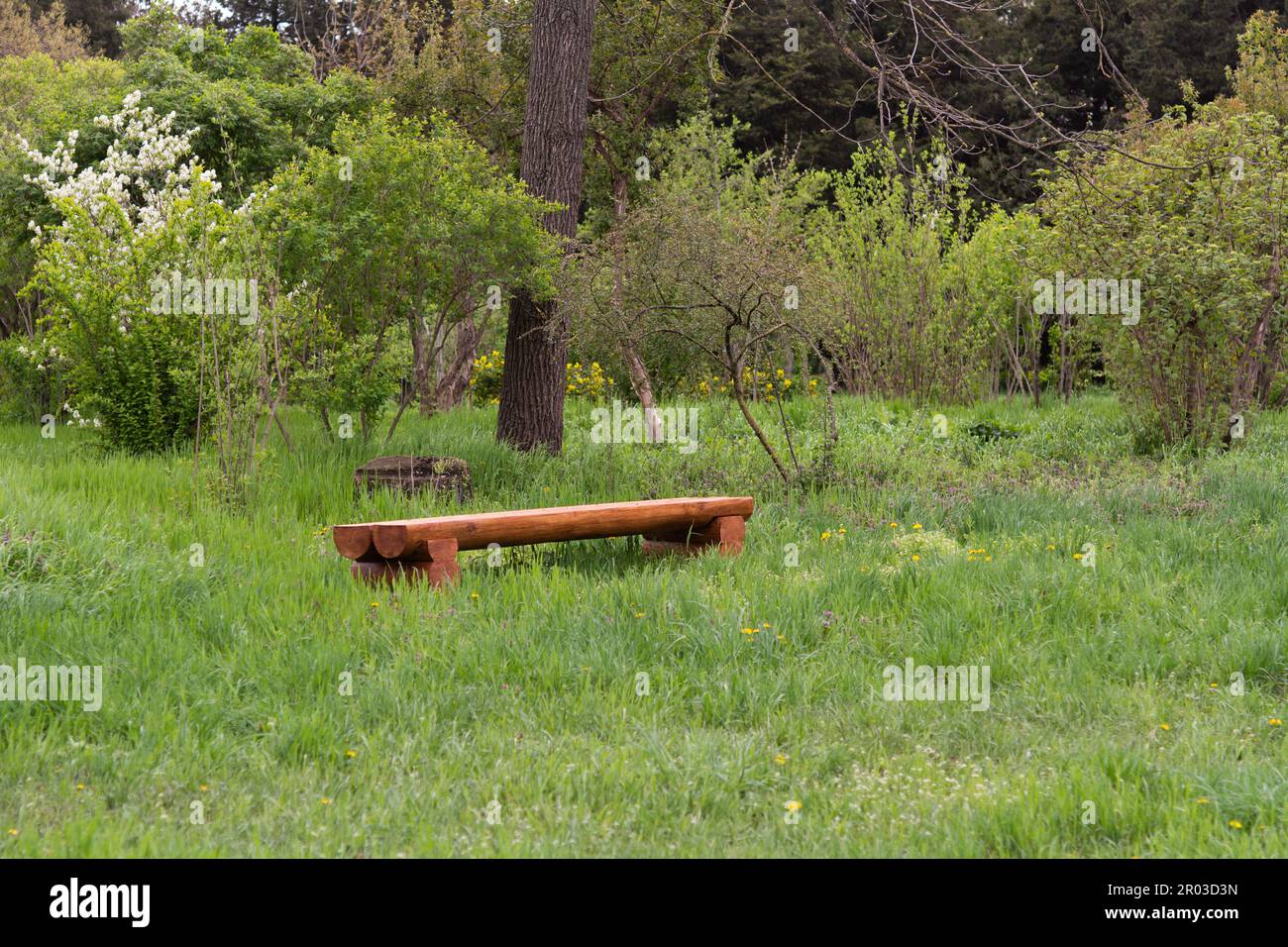 Wooden bench in the park in spring Stock Photo - Alamy