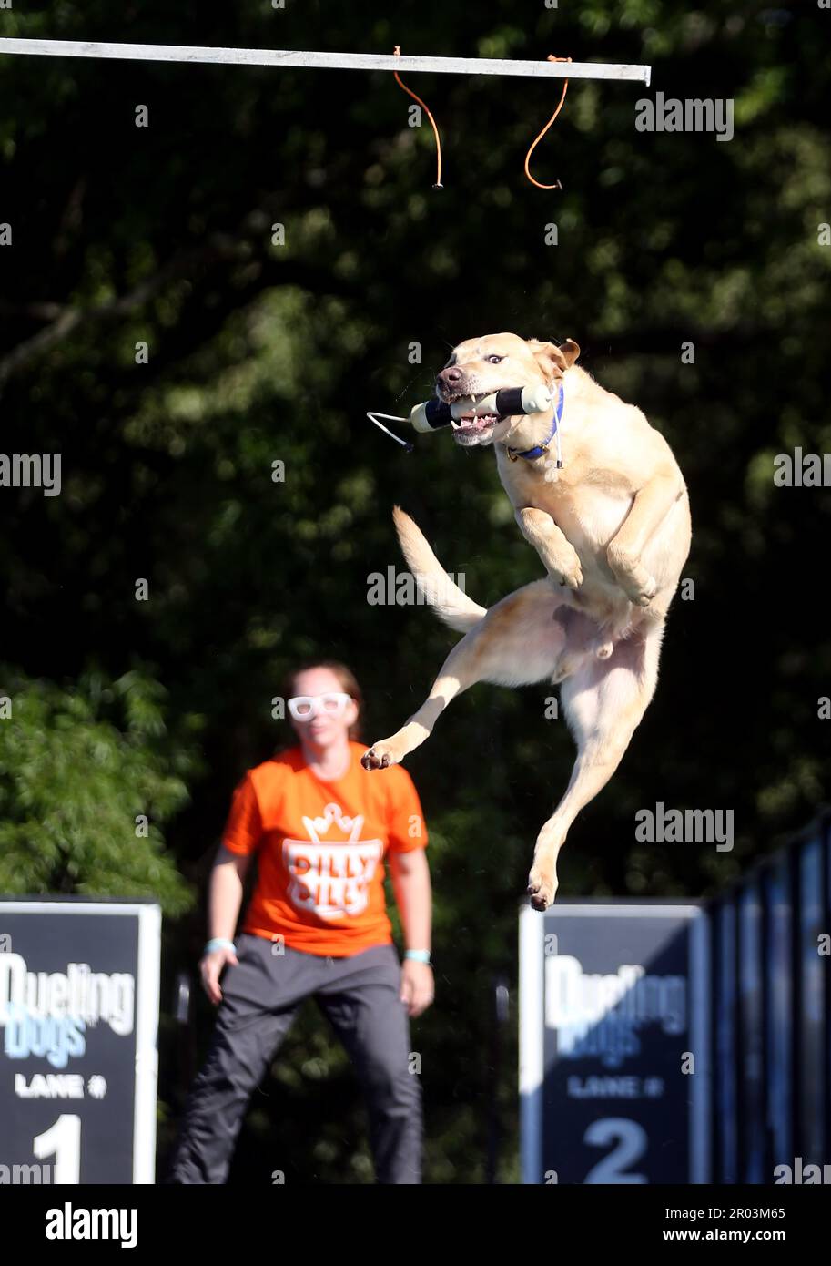 Goldston, North Carolina, USA. 6th May, 2023. The 6th Annual Bark at Noah's Ark benefit was held