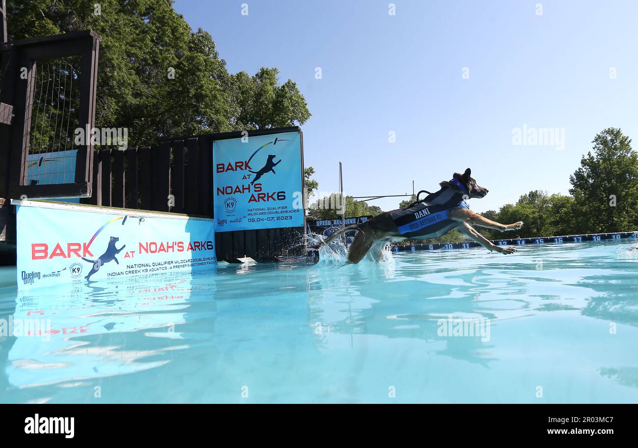 May 6, 2023, Goldston, North Carolina, USA Retired US Secret Service K9 DANI jumps in his first