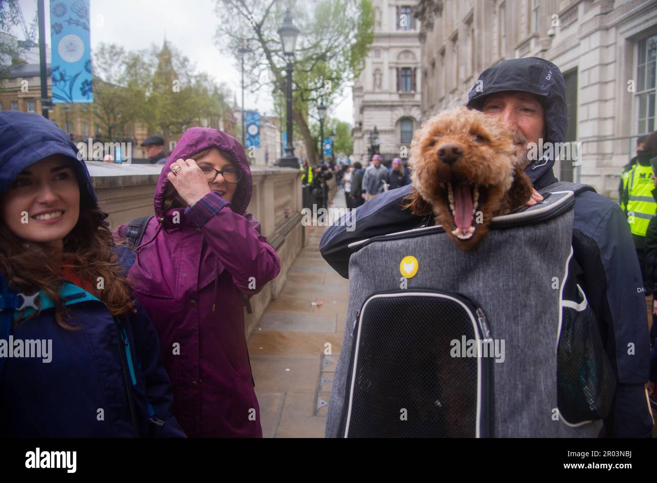 London, UK. , . Coronation Gems, Iranian Royalists and Benjamin Dog ...