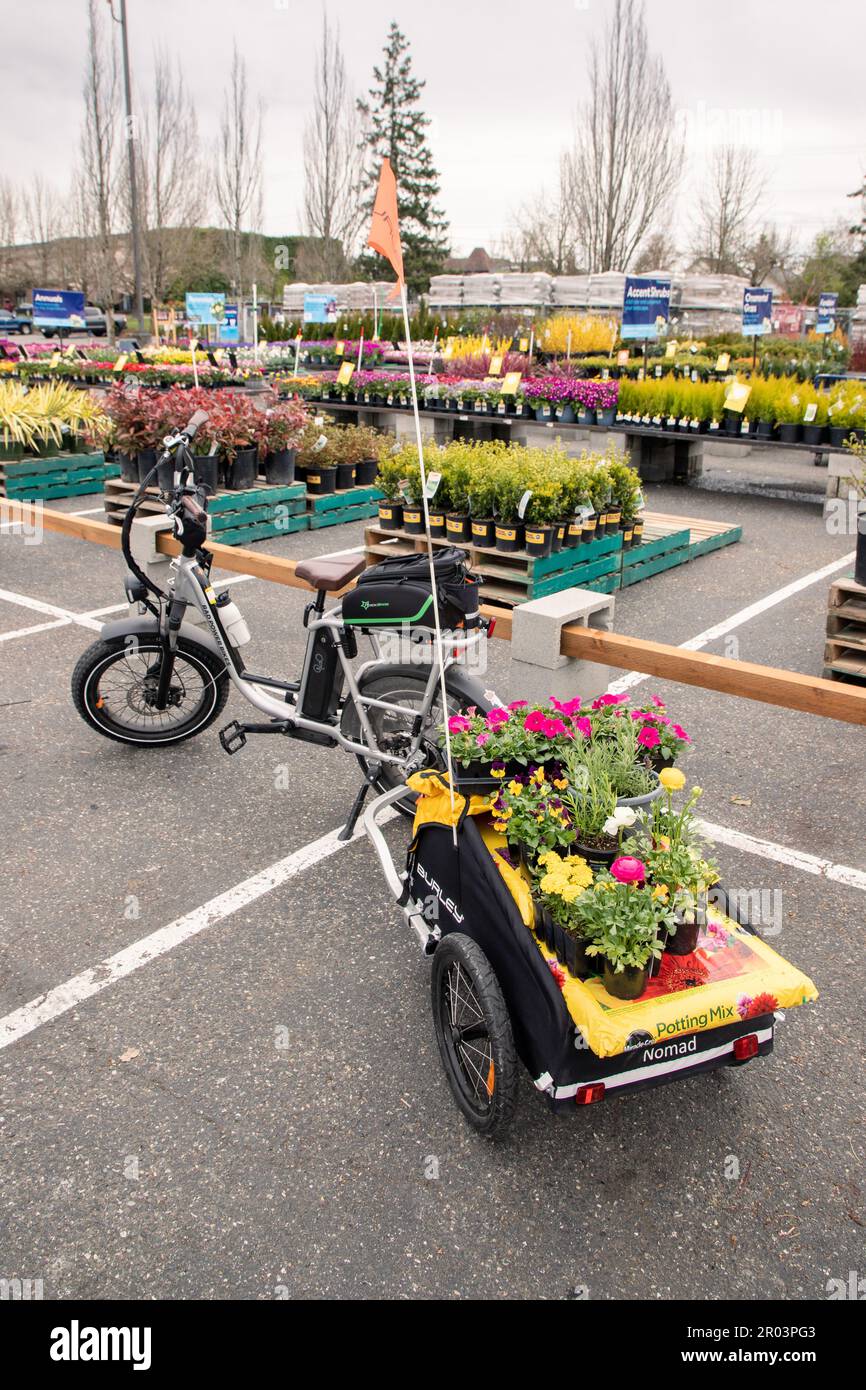 Everett WA USA April 15 2023 Rad Power EBike With A Burley Nomad Everett wa usa april 15 2023 rad power ebike with a burley nomad