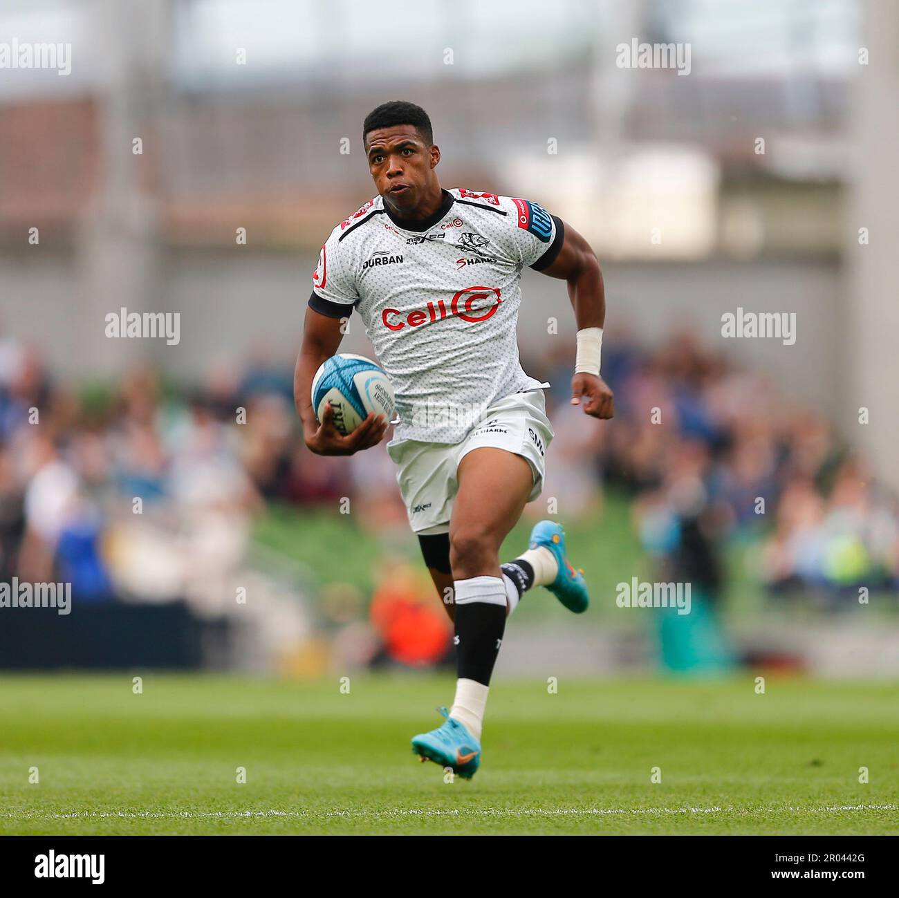 grant-williams-sharks-hi-res-stock-photography-and-images-alamy