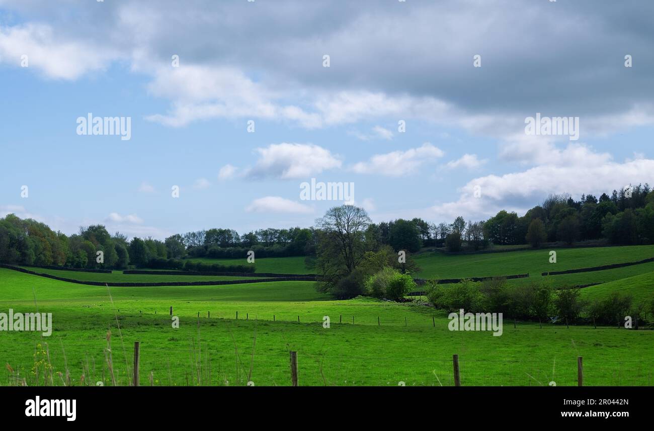 Beautiful hills trees grass hi-res stock photography and images - Alamy