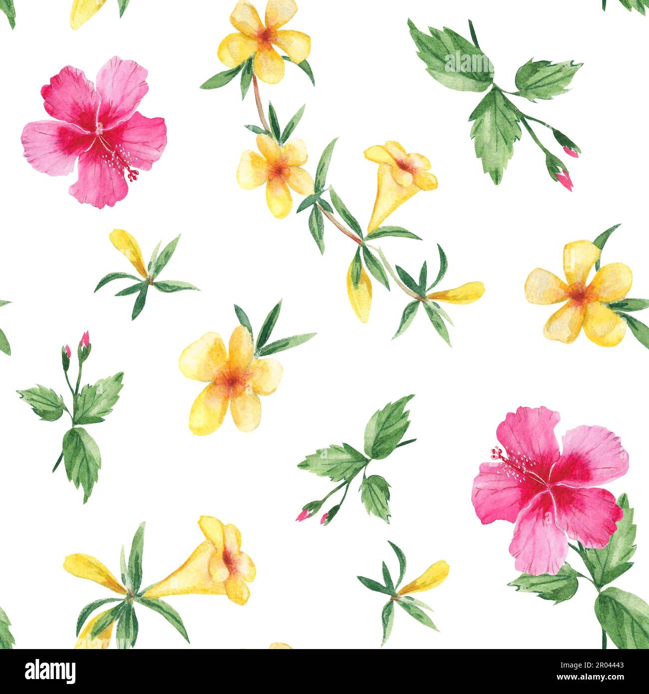 Seamless watercolor pattern with exotic tropical flowers. Hibiscus ...
