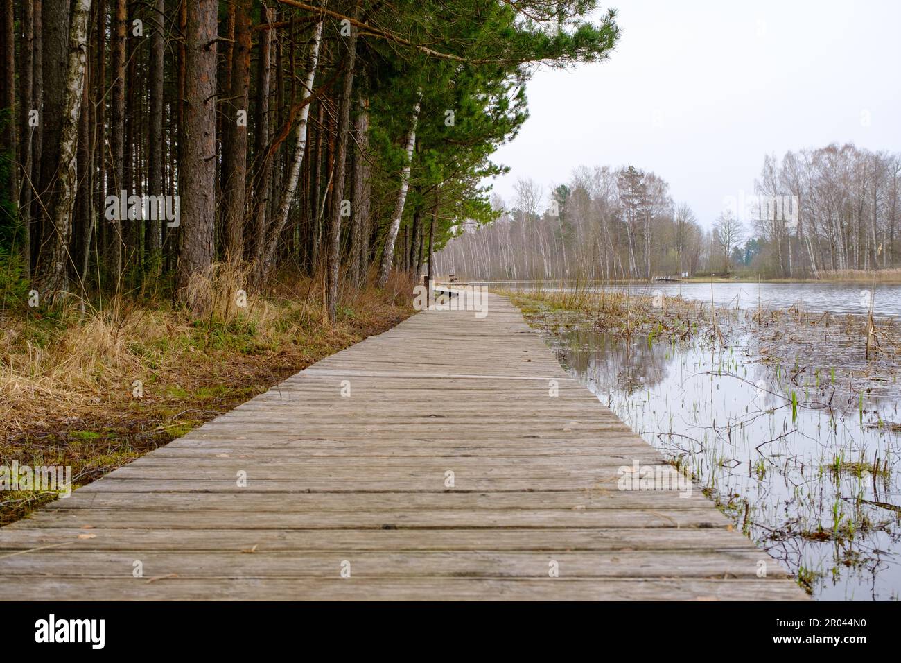 Wooden path along the shore of the lake, plank deck, modern landscape ...