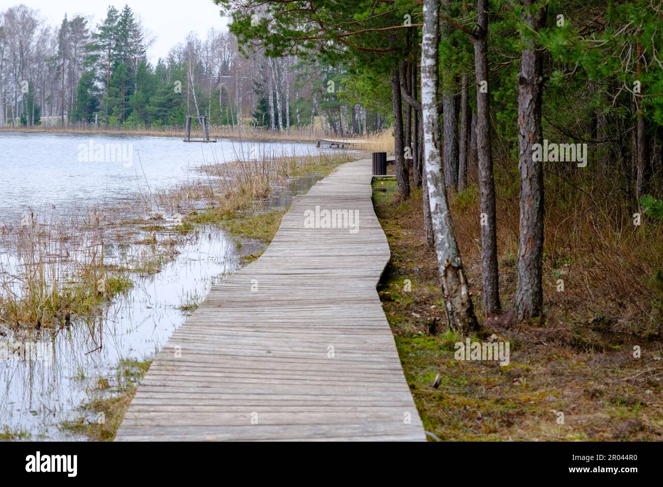 Wooden path along the shore of the lake, plank deck, modern landscape ...