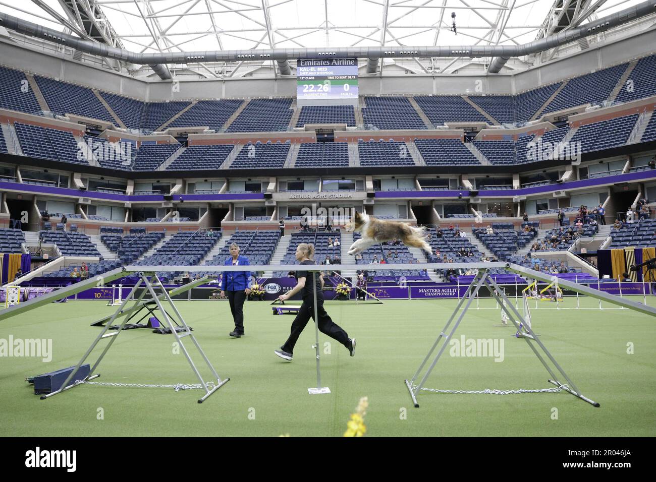 New York, United States. 06th May, 2023. A dog competes in the 10th