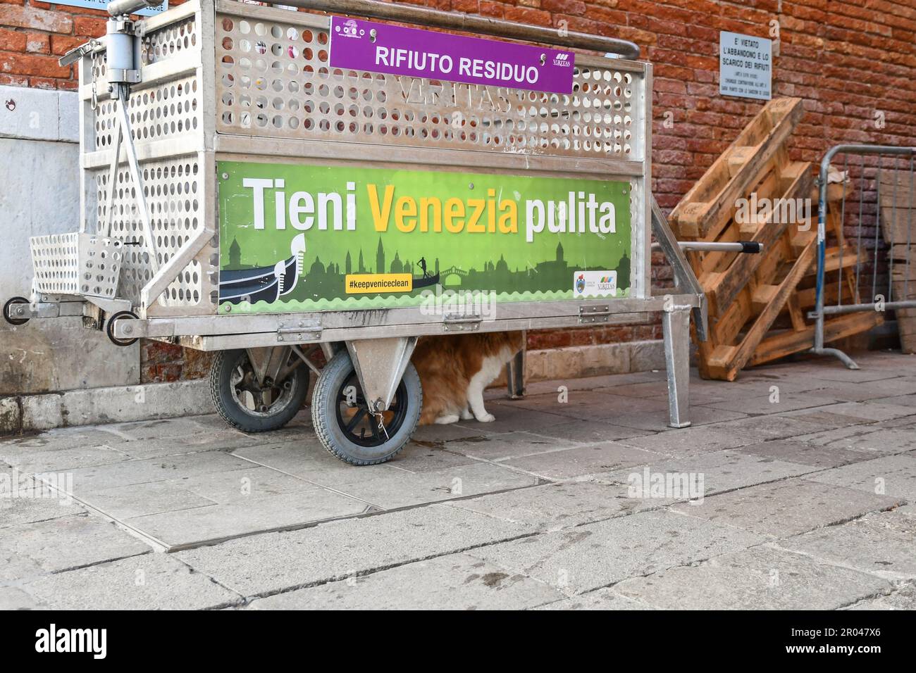 Metal cart for waste collection with a ginger cat hidden under, in an alley of the historic centre of Venice, Veneto, Italy Stock Photo