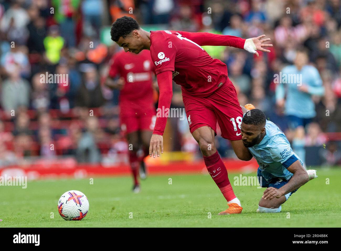 Cody Gakpo #18 of Liverpool in action during the Premier League match between Liverpool and Brentford at Anfield, Liverpool on Saturday 6th May 2023. (Photo: Mike Morese | MI News) Credit: MI News & Sport /Alamy Live News Stock Photo