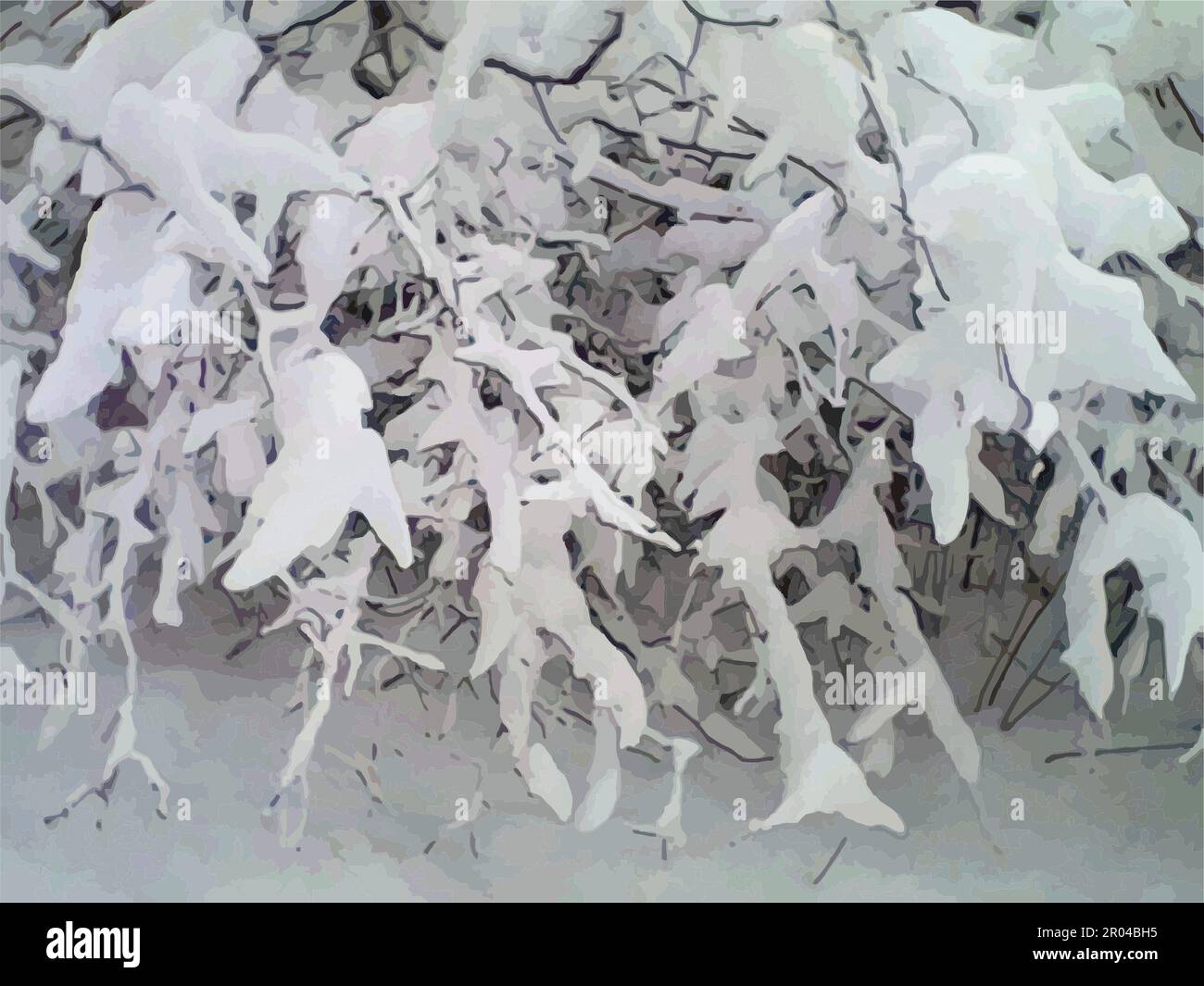 Tonality Tree Winter motifs in cold tonality - tree branches. Snow-covered trees and ...
