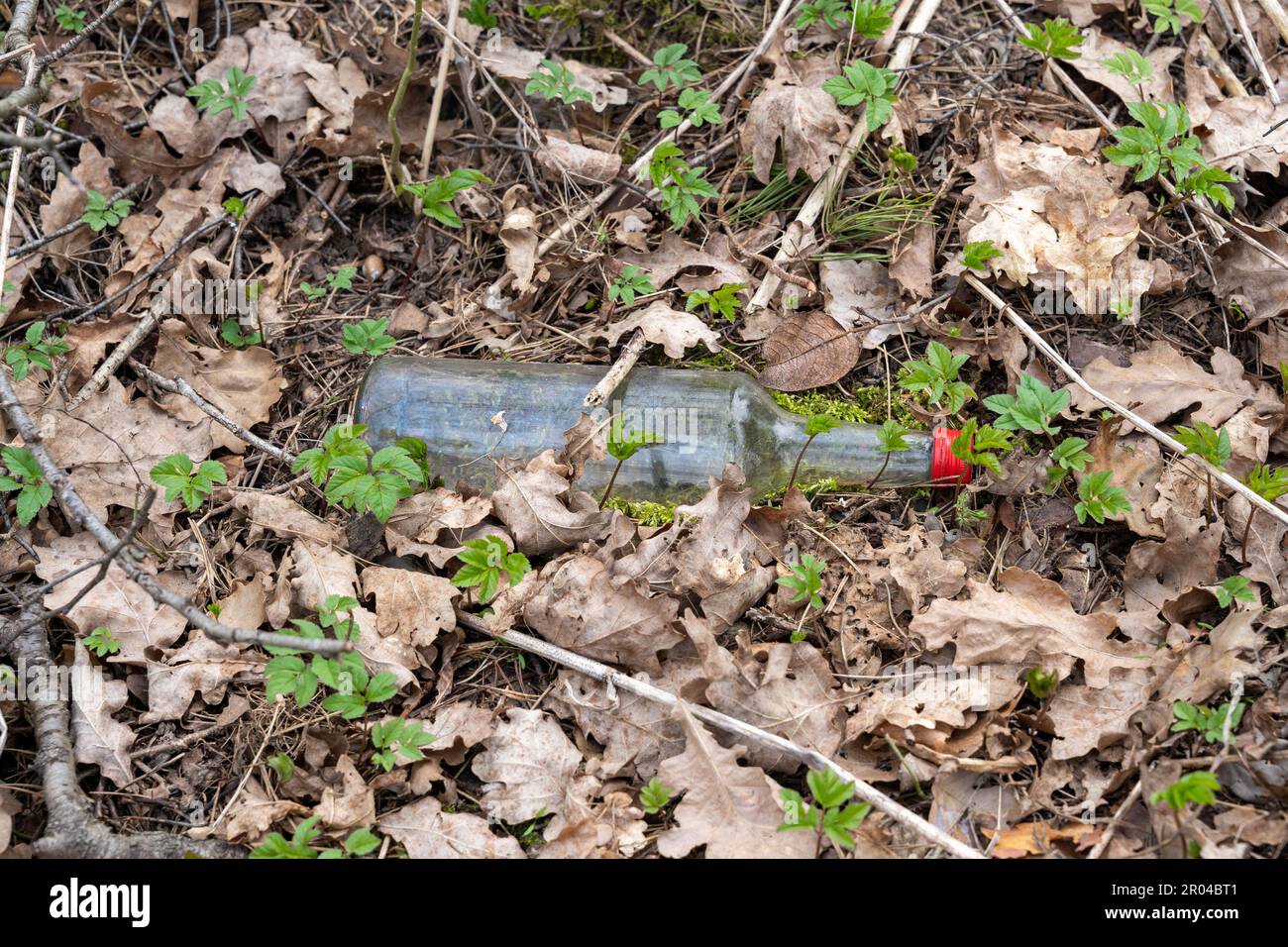 Empty transparent glass bottle with red cap on the ground in forest Stock Photo