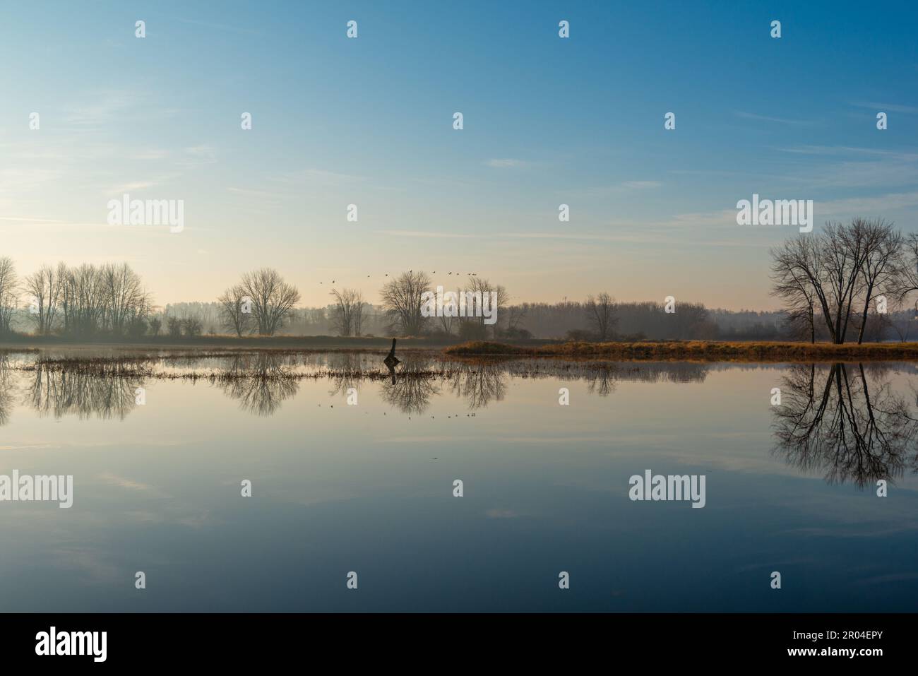Early morning at Petrie Island, Ottawa, Ontario, Canada Stock Photo Alamy