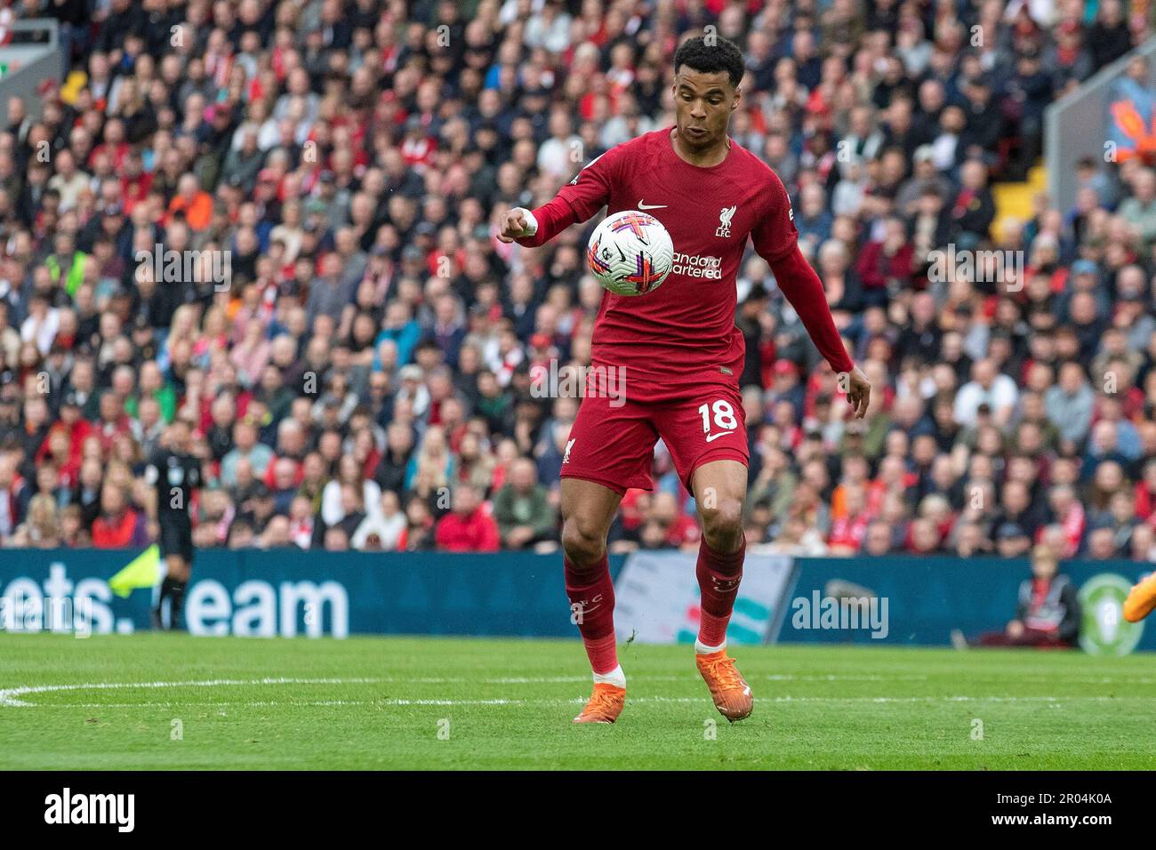 Cody Gakpo #18 of Liverpool in action during the Premier League match between Liverpool and Brentford at Anfield, Liverpool on Saturday 6th May 2023. (Photo: Mike Morese | MI News) Credit: MI News & Sport /Alamy Live News Stock Photo