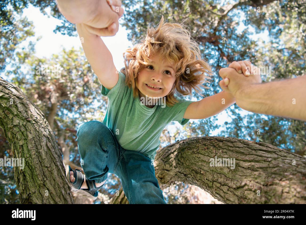 Fathers hand. A father helping his son down from the branch of a tree. Stock Photo