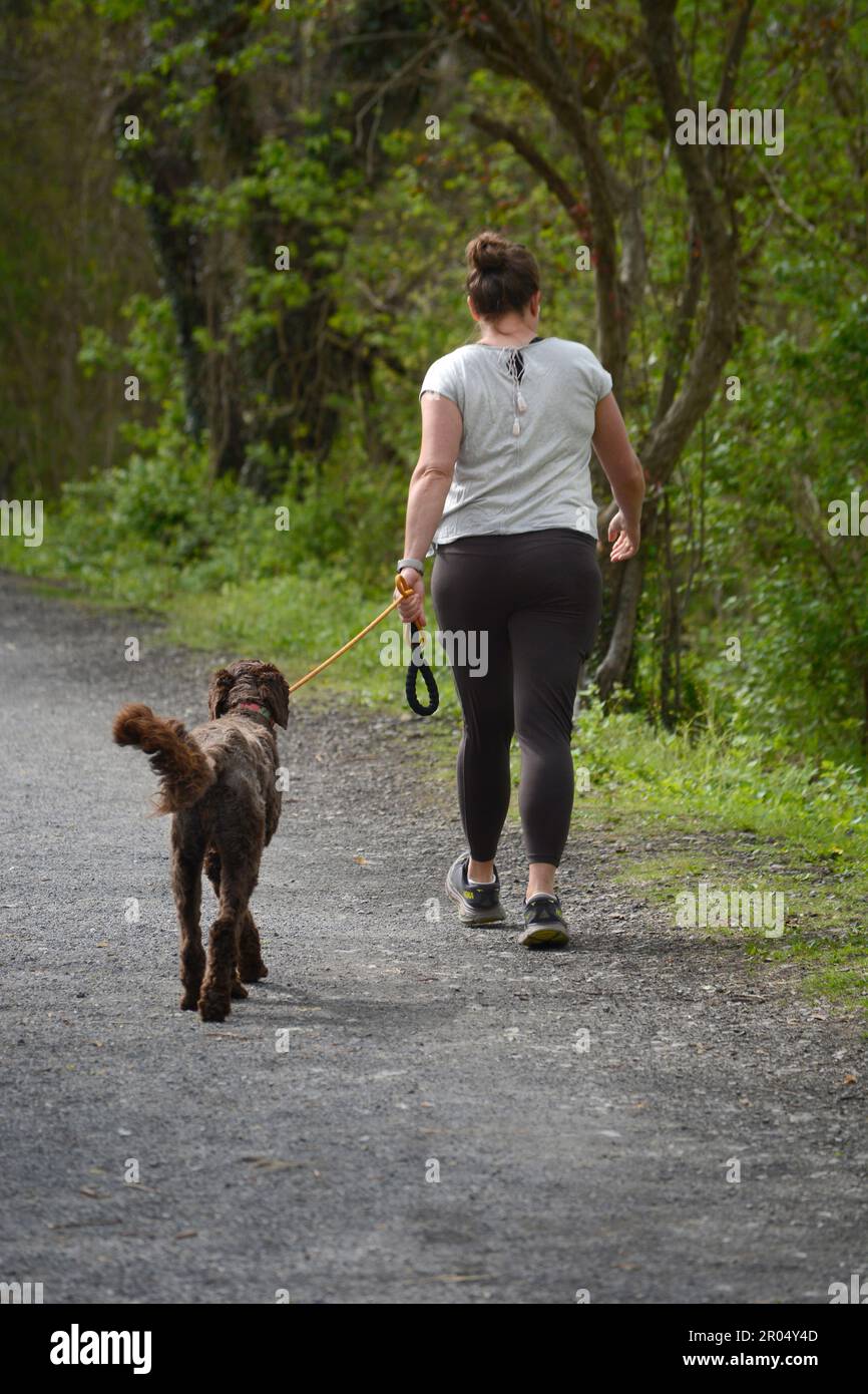 A woman walks her dog along the public Virginia Creeper Trail in Abingdon, Virginia. Stock Photo