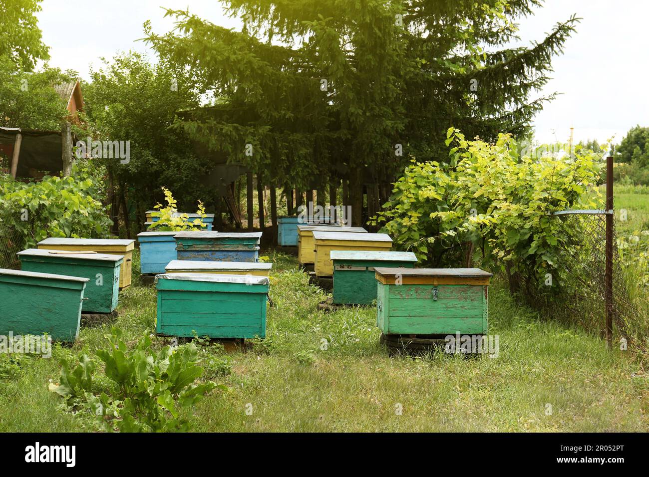Different bee hives hi-res stock photography and images - Alamy