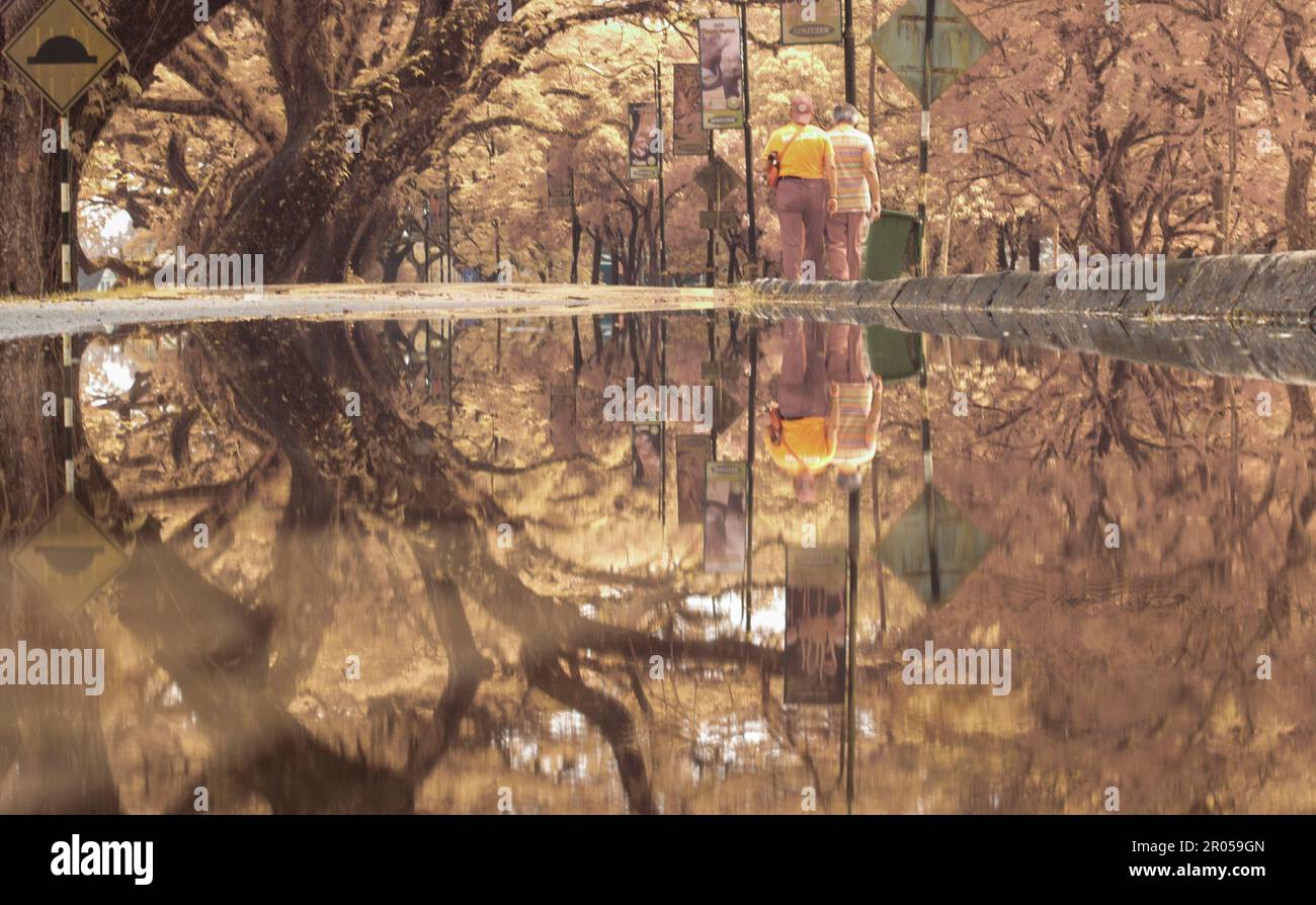 infrared image scene of the stagnant pool of water by the sidewalk of the park Stock Photo