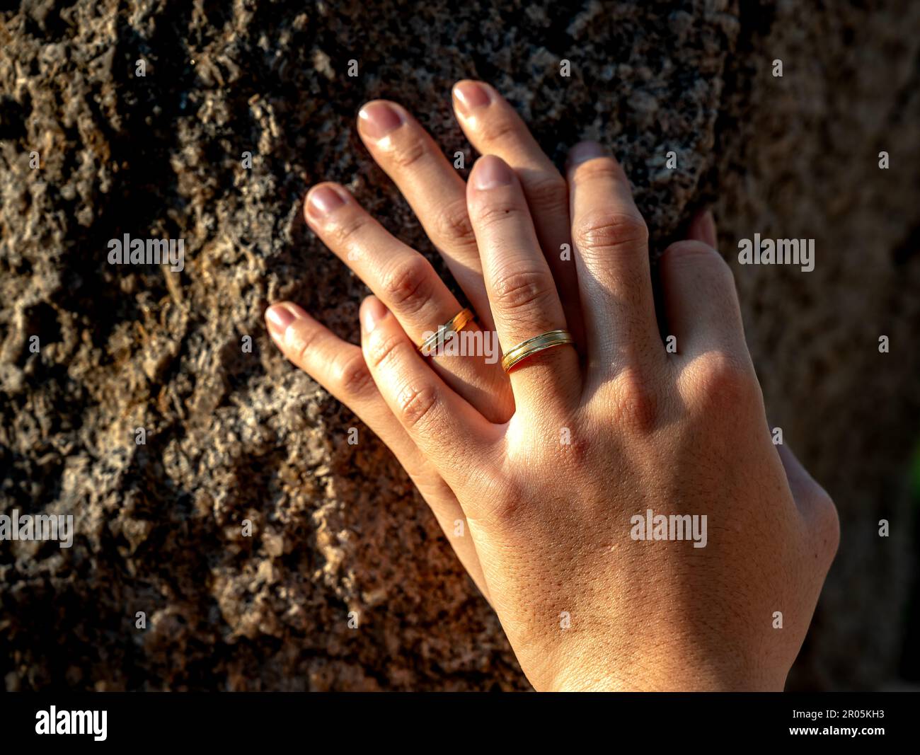 Close up of the hands of a just married couple showing their rings in their wedding day. Romantic symbol of a pair of lovers. good for valentine, roma Stock Photo