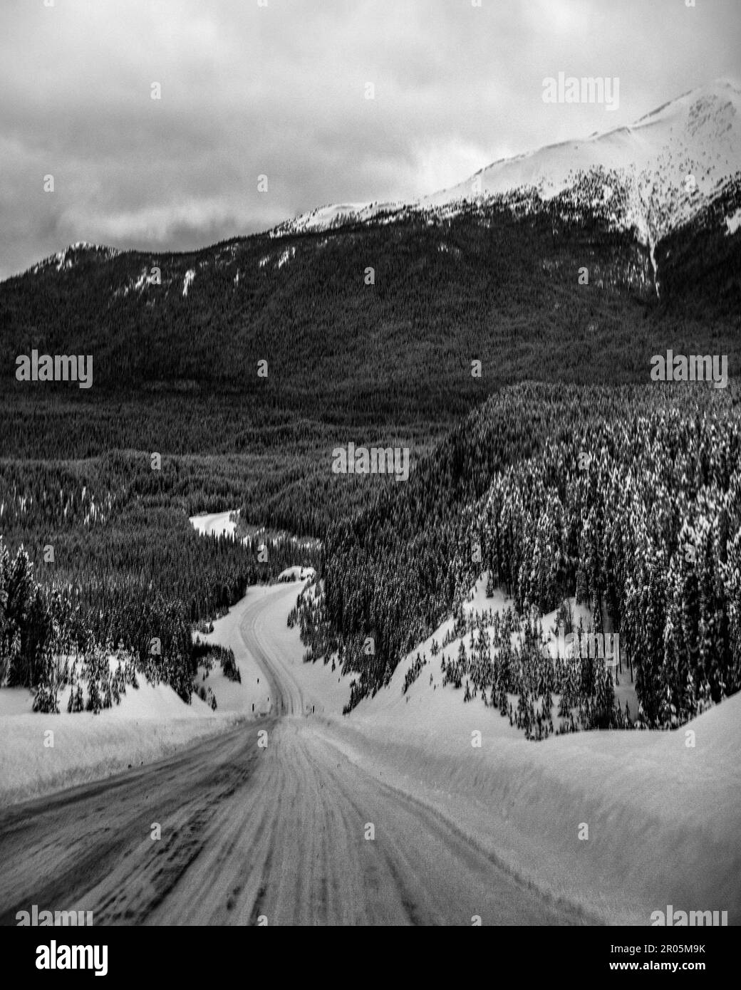 Black and white portrait view along the Alaska Highway in winter time with snow capped mountains and road running towards perfect snowy scenery. Stock Photo