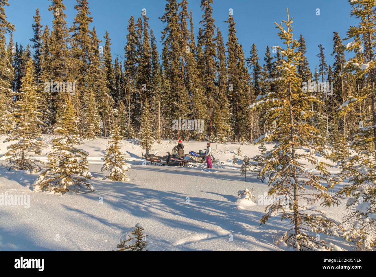 People with snowmobiles standing in a wilderness area of northern Canada during winter on beautiful blue sky day. Stock Photo
