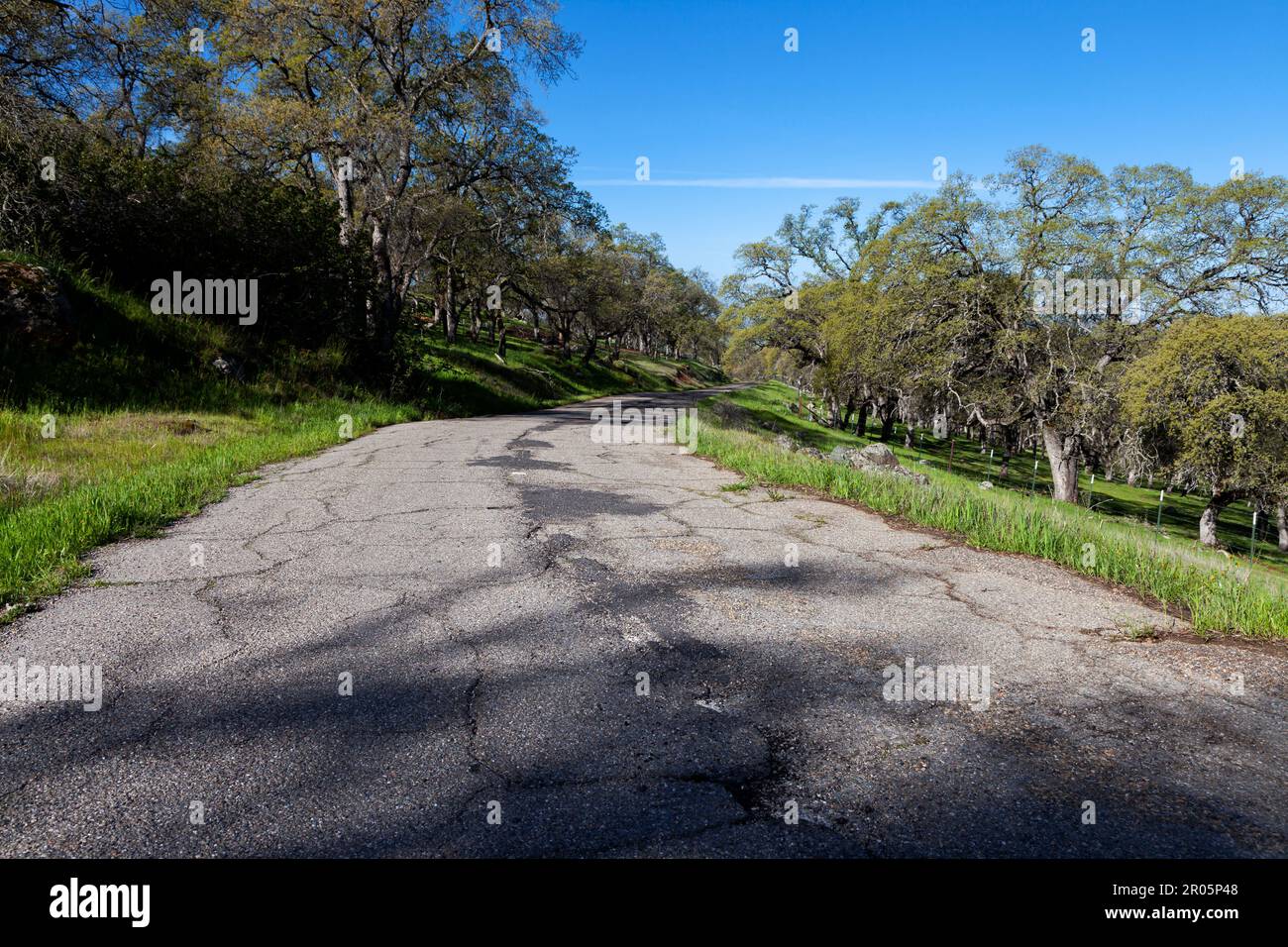 A bypassed section of California Highway 4 roadbed passes through the oak covered foothills near the site of Telegraph City in Calavaras County. Stock Photo