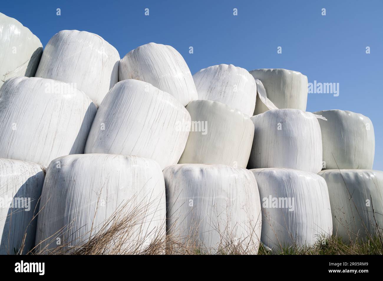 Wrapped and stacked hay bales with blue sky in the background Stock Photo