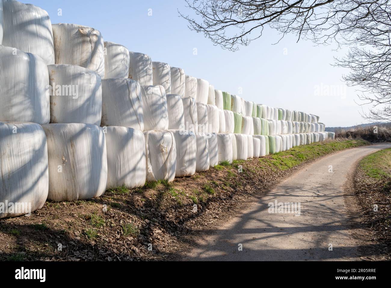 Country road in spring with wrapped bales of hay on the side Stock Photo